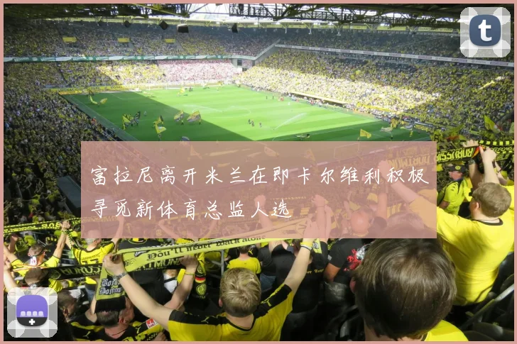 富拉尼离开米兰在即卡尔维利积极寻觅新体育总监人选